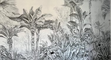 Pitture Decorative